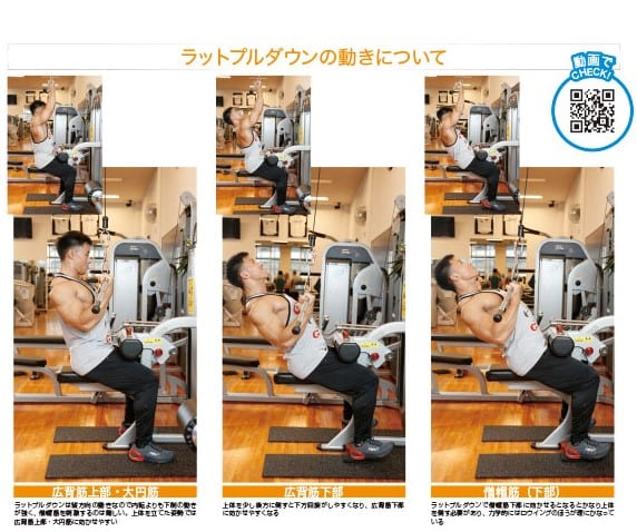 筋トレのプロ直伝!背中を鍛える「ラットプルダウン」徹底解説!【動画 筋トレのプロ直伝!背中を鍛える「ラットプルダウン」徹底解説!【動画