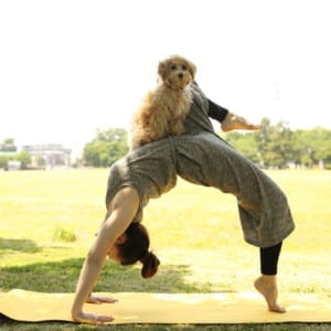 愛犬と一緒にヨガができるようになりました!【Withコロナ時代におけるYOGA LIFE】