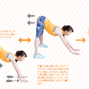 肩甲骨&骨盤周辺の調整法②【姿勢改善エクササイズ】