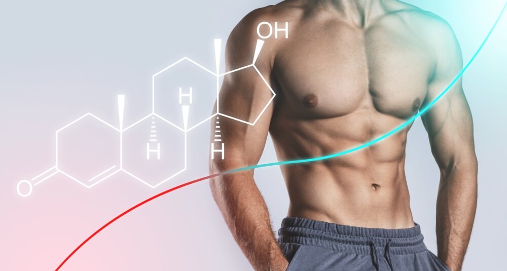 テストステロンを下げる「5つの要因」を解説! 過剰な○○に要注意!? テストステロンを増やして健康な生活を!
