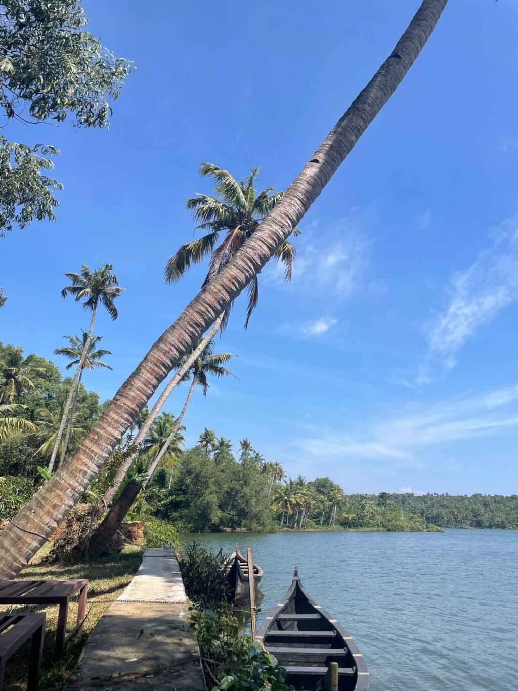 インドの景色