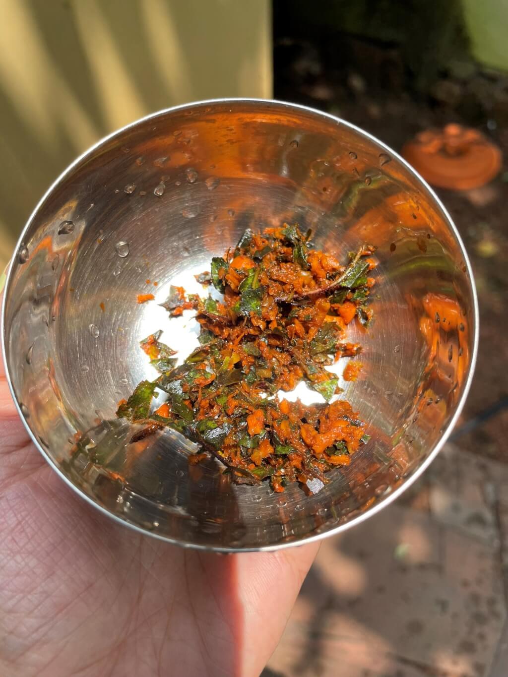 インドヨガ修行フォト