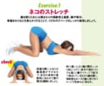 ネコのストレッチ