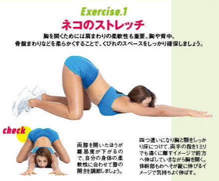 ネコのストレッチ