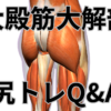 大殿筋徹底解剖＆尻トレQ＆Aで明かす驚きの効果と正しい鍛え方とは？【岡田隆が監修】