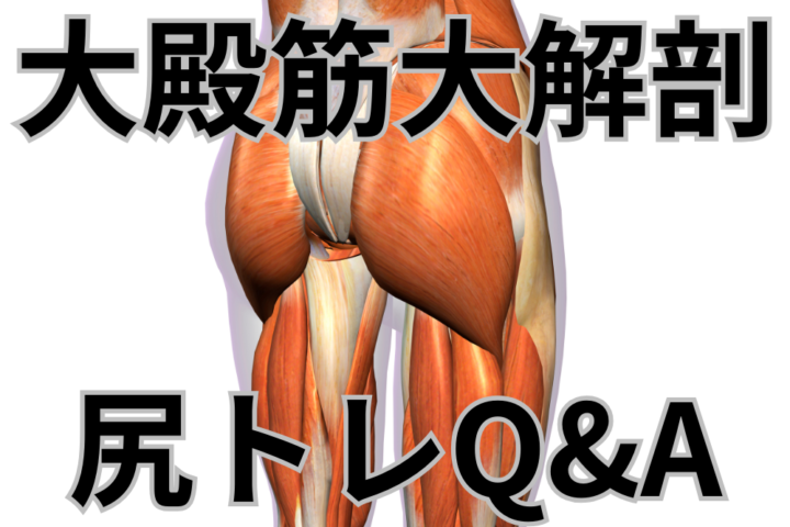 大殿筋徹底解剖＆尻トレQ＆Aで明かす驚きの効果と正しい鍛え方とは？【岡田隆が監修】