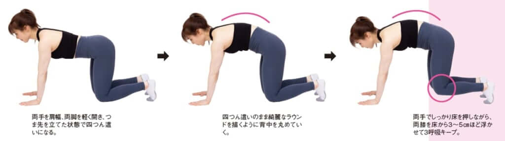 キャットホバー