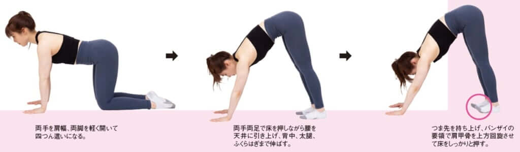 エレファント