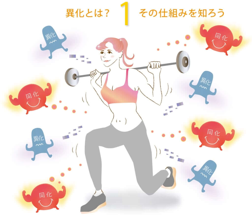 異化とは？ その仕組みを知ろう