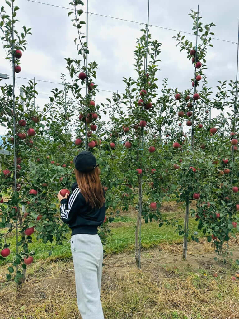 中村彩乃さん