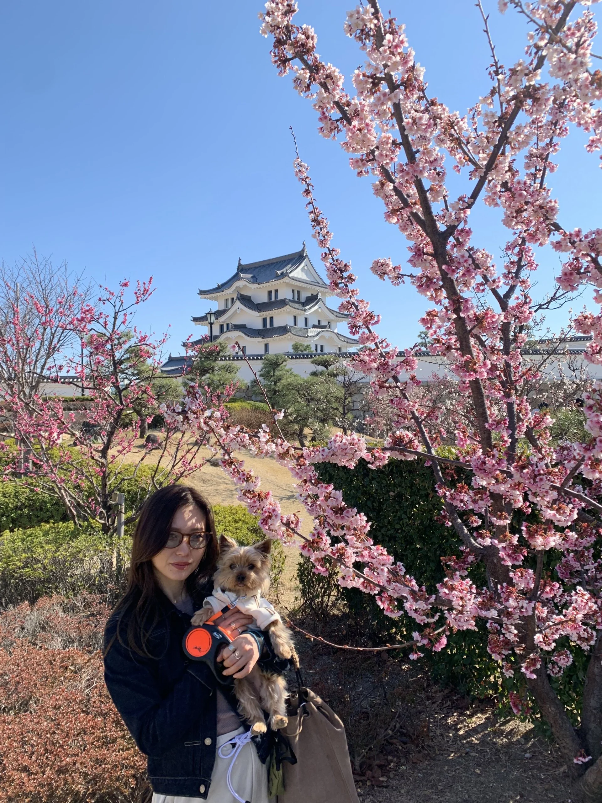 井ノ坂有里さん