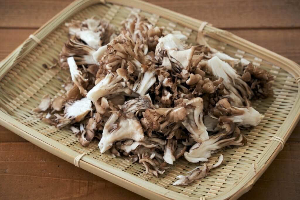 森弘子に学ぶ！女性のための栄養学 「キノコは筋肉量アップに貢献する」