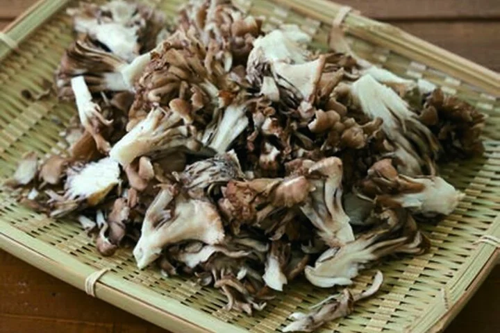 森弘子