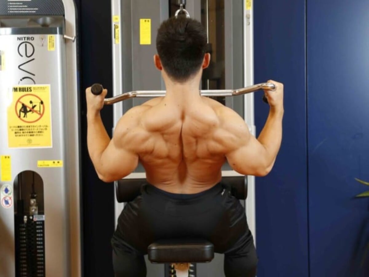 パラレルダブルグリップバー ラットプルダウン パラレルグリップラットプルダウン - バーンフィット – 運動記録が