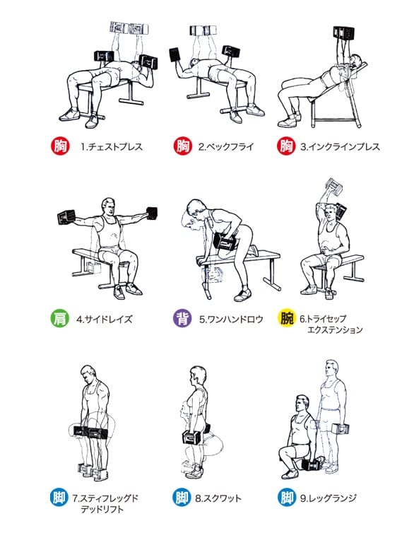 自宅でも限界まで追い込める最強ダンベルの使い方！ | FITNESS LOVE 