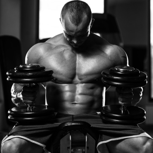 アーノルド シュワルツェネッガーの抗拮筋スーパーセット Fitness Love