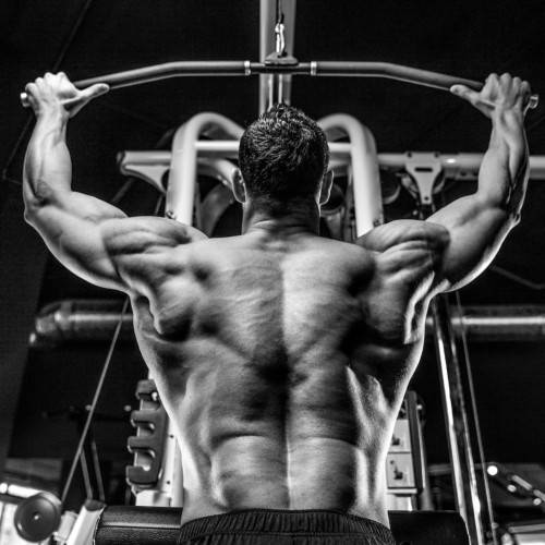 ボディビル世界チャンピオンが解説する ワンハンドダンベルロウここが大事 動画 Fitness Love ボディビル世界チャンピオンが解説する ワンハンドダンベルロウここが大事 動画 Fitness Love