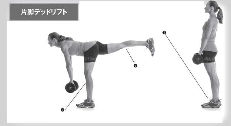 コアを鍛えてアンバランスを整える片脚トレーニング Fitness Love