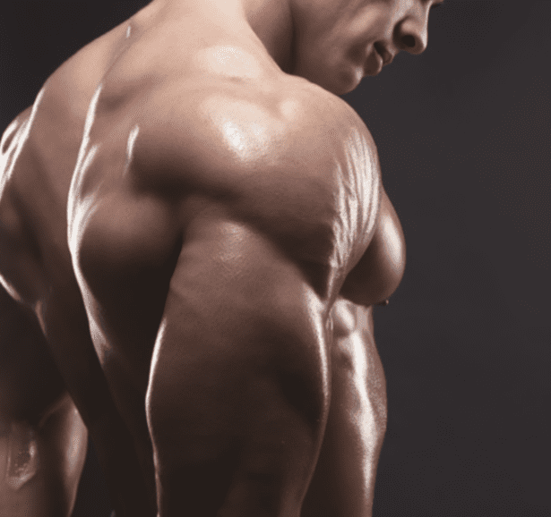 肩トレで大切なローテーターカフの重要性 Fitness Love