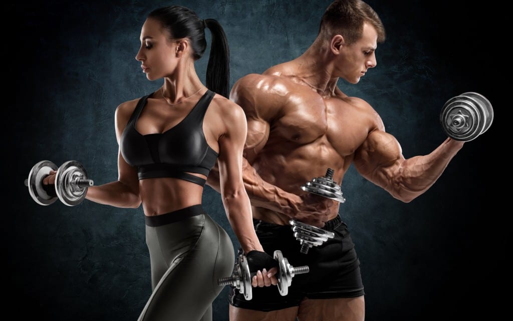乳酸は疲労物質 はもう古い Fitness Love 乳酸は疲労物質 はもう古い Fitness Love