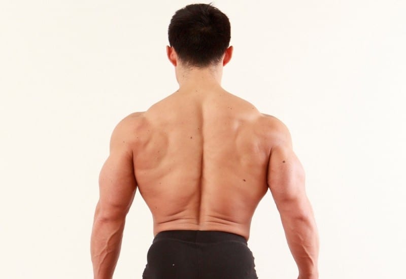 黒澤裕俊 Fitness Love の投稿者 ページ 18 42