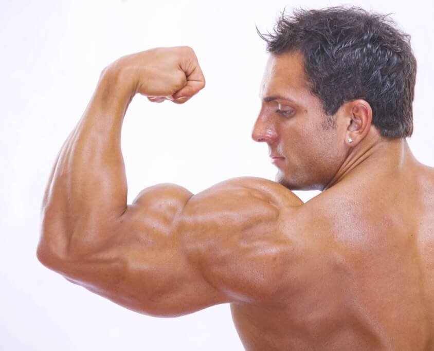 疑問 ボディビルダーの筋肉は使えないって本当 Fitness Love