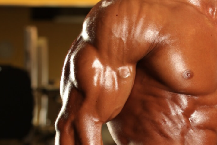 筋トレ初心者必見！腕を太くする種目の選び方と腕トレの重量設定とは？ボディビル世界王者・鈴木雅が解説