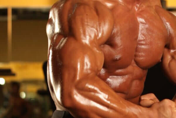 初心者が上腕二頭筋の筋トレで知っておきたい“チーティング”について、ボディビル世界王者・鈴木雅が解説