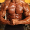 【筋トレ初心者向け】上腕二頭筋の鍛え方をボディビル世界王者が解説！幅や高さの作り方、腕のアウトライン強化法とは