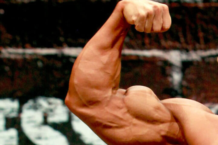 【筋トレ初心者向け】二頭筋と三頭筋、鍛える順番とは？ボディビル世界王者・鈴木雅が解説