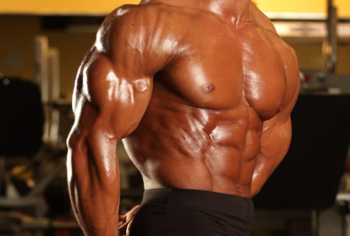 【筋トレ初心者にも】フリーウエイトとマシン、どちらを優先？ボディビル世界王者・鈴木雅が解説