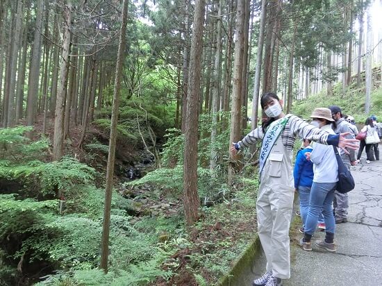 ミス日本みどりの女神