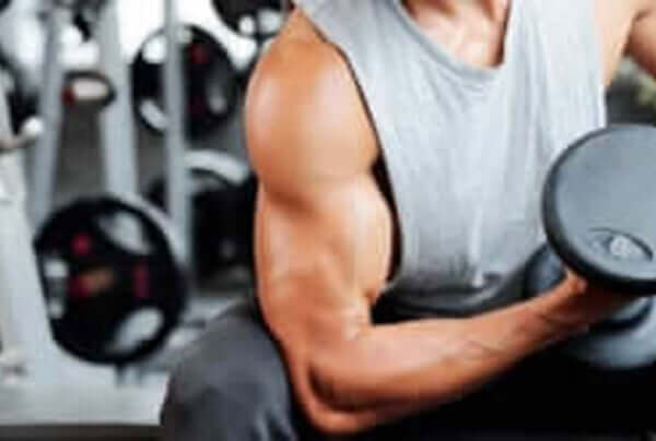 【リアデルトフライの効果的なやり方とは】立体感のある肩をつくる、三角筋後部の鍛え方をボディビル世界王者・鈴木雅が解説