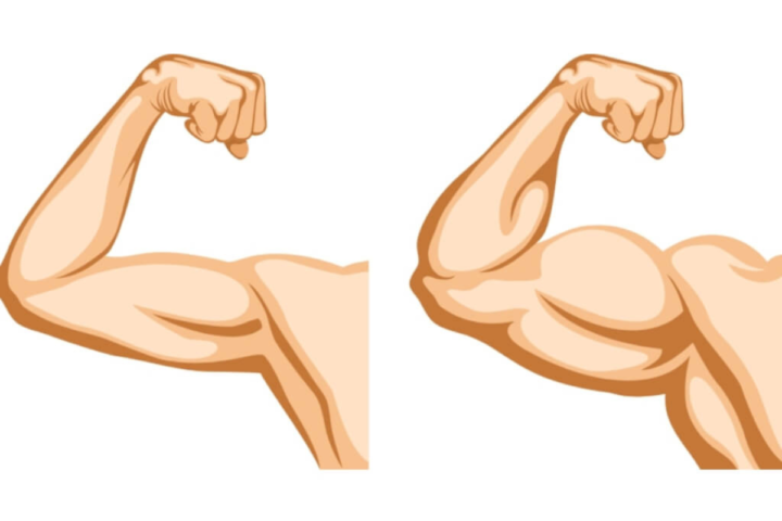 腕トレのメニューと頻度は？ボディビル元世界王者・鈴木雅が解説！