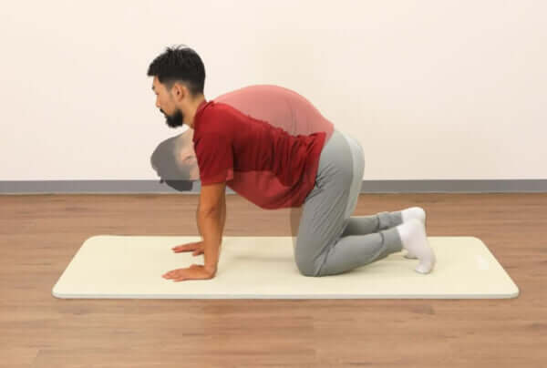 寝ながら・座ったままでもできるものも！腰痛改善のためのストレッチをYouTubeで話題のトレーナーが伝授【連載】