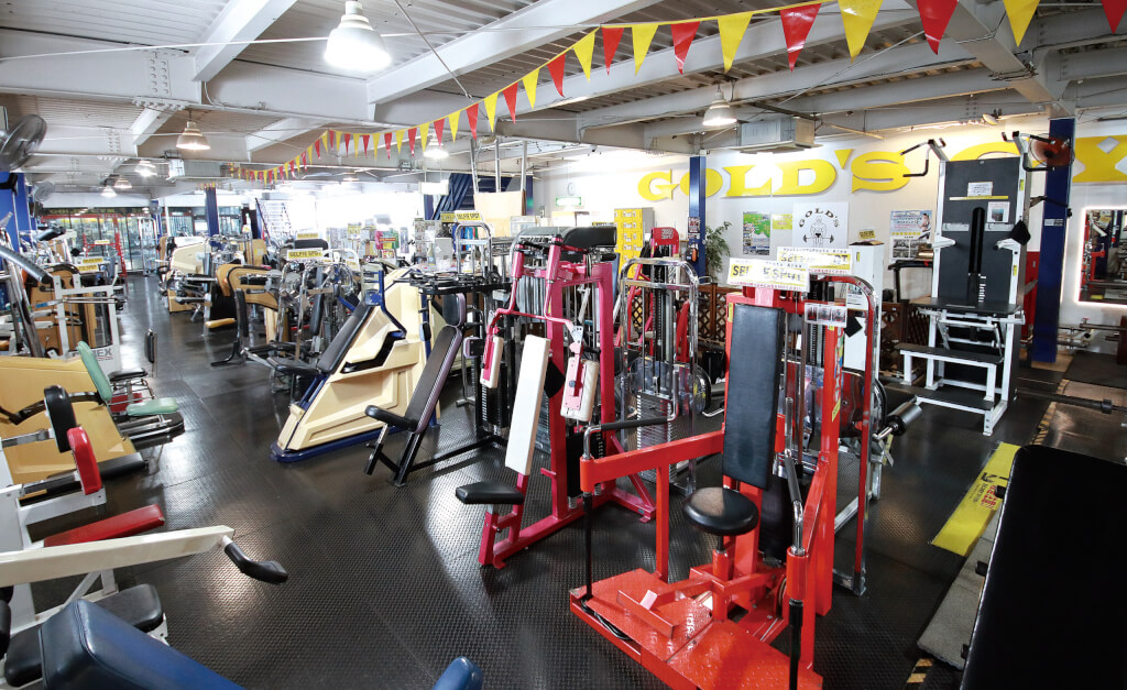 トレーニングマシンミュージアム」の魅力と奥深さ ゴールドジム行徳