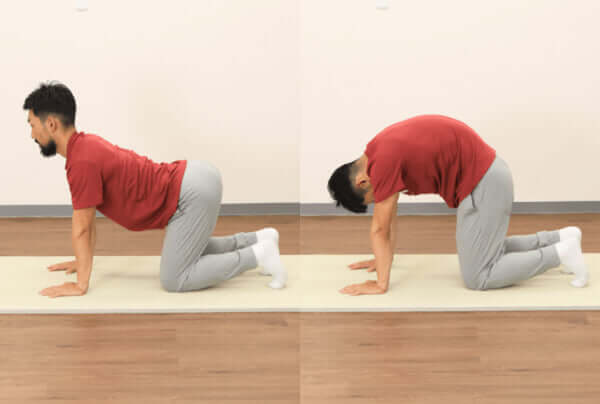 腰痛や肩こりを解消したい時におすすめの背骨と骨盤周辺ストレッチ4選