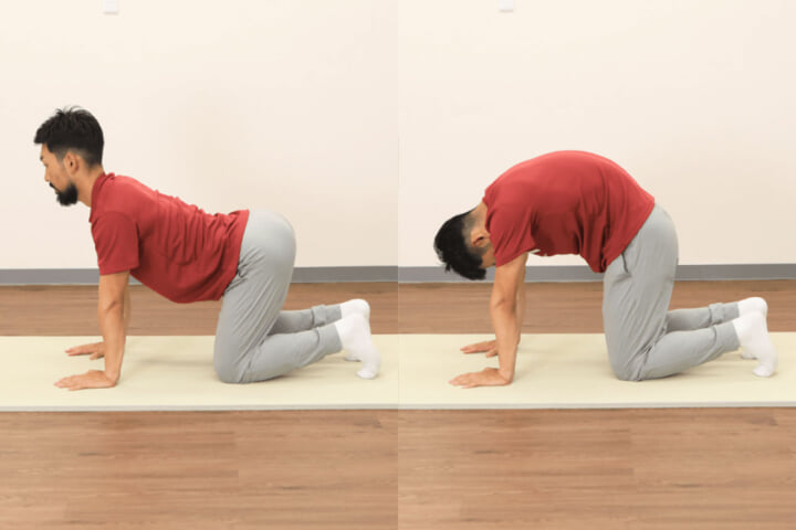 腰痛や肩こりを解消したい時におすすめの背骨と骨盤周辺ストレッチ4選