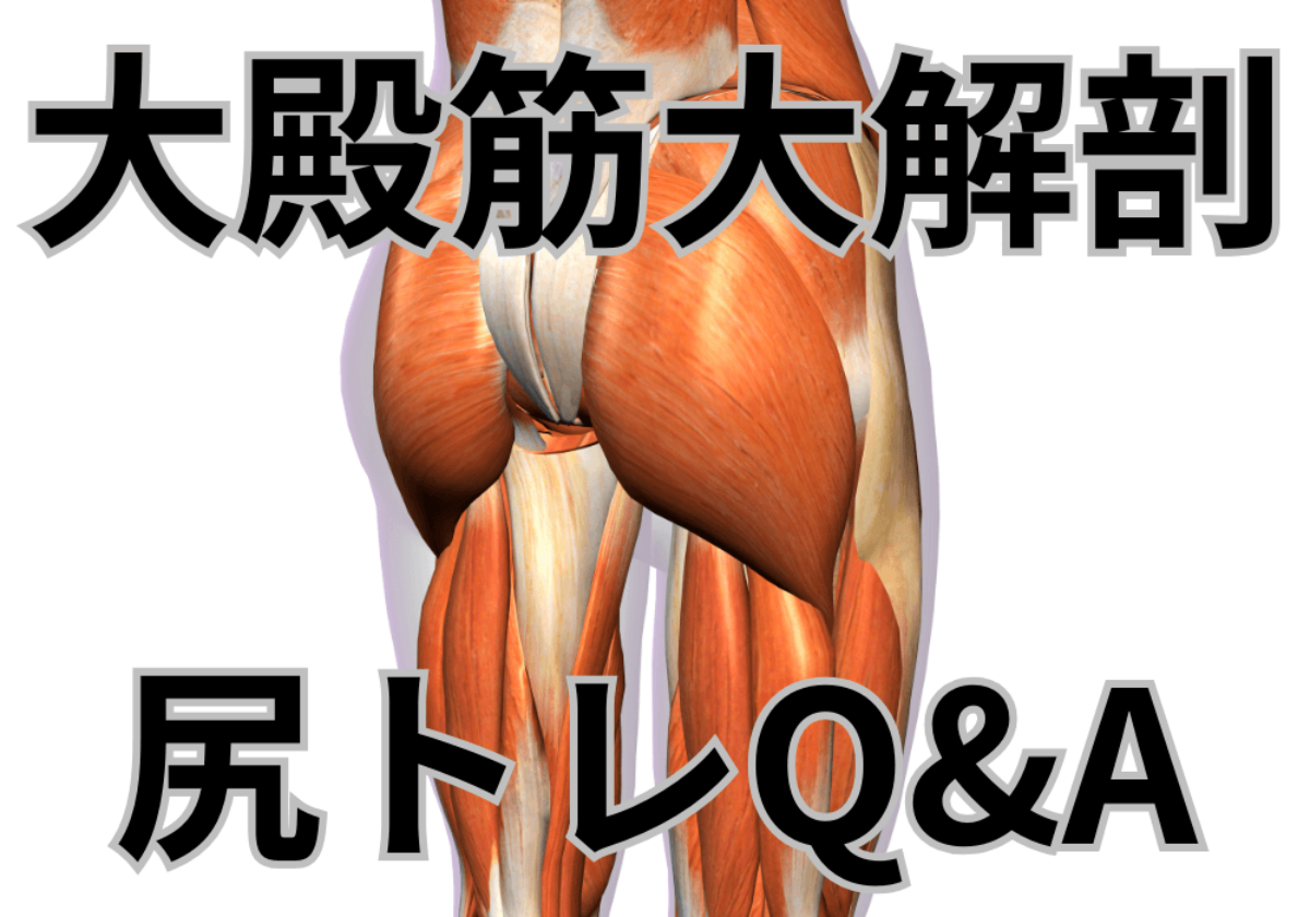 お尻トレ革命】岡田隆監修！大殿筋徹底解剖＆尻トレQ&Aで明かす驚きの