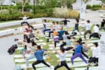 前回の『WELLNESS SCRAMBLE!』の様子