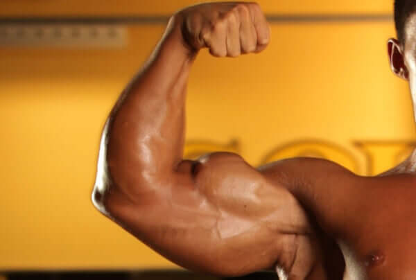 筋トレ初心者にも！メニューの分割など、上腕三頭筋を鍛えるための大切なことをボディビル世界王者・鈴木雅が解説