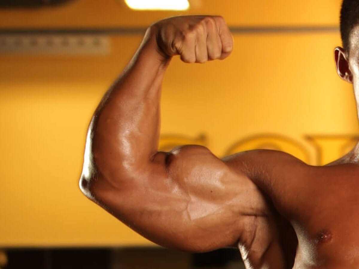 【筋トレ初心者にも】メニューの分割など“上腕三頭筋”を鍛えるための大切なことをボディビル世界王者・鈴木雅が解説