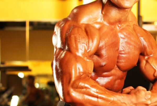 三角筋後部と側部の鍛え方とは？効果的な筋トレ方法を世界王者鈴木雅が解説！ラテラルレイズやリアデルトフライも！